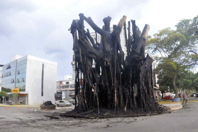  13/10/2025. Ed Alves CB/DA Press. Cidades. Incêndio em uma árvore causou susto em moradores da Asa Norte, no SCRN 704/705, Bloco B -  (crédito: Ed Alves/CB/D.A Press                                    )