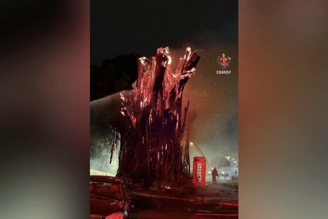 Ãrvore em chamas assusta moradores na Asa Norte -  (crédito: CBMDF/DivulgaÃ§Ã£o)