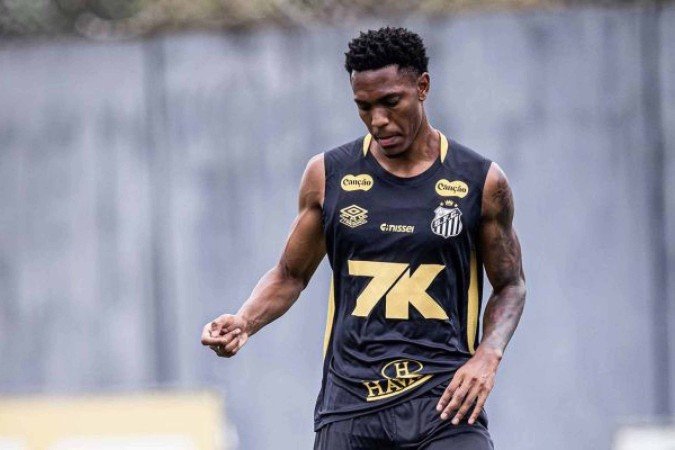 Luisão atuou em apenas nove partidas neste ano  -  (crédito: Foto: Raul Baretta/Santos FC)