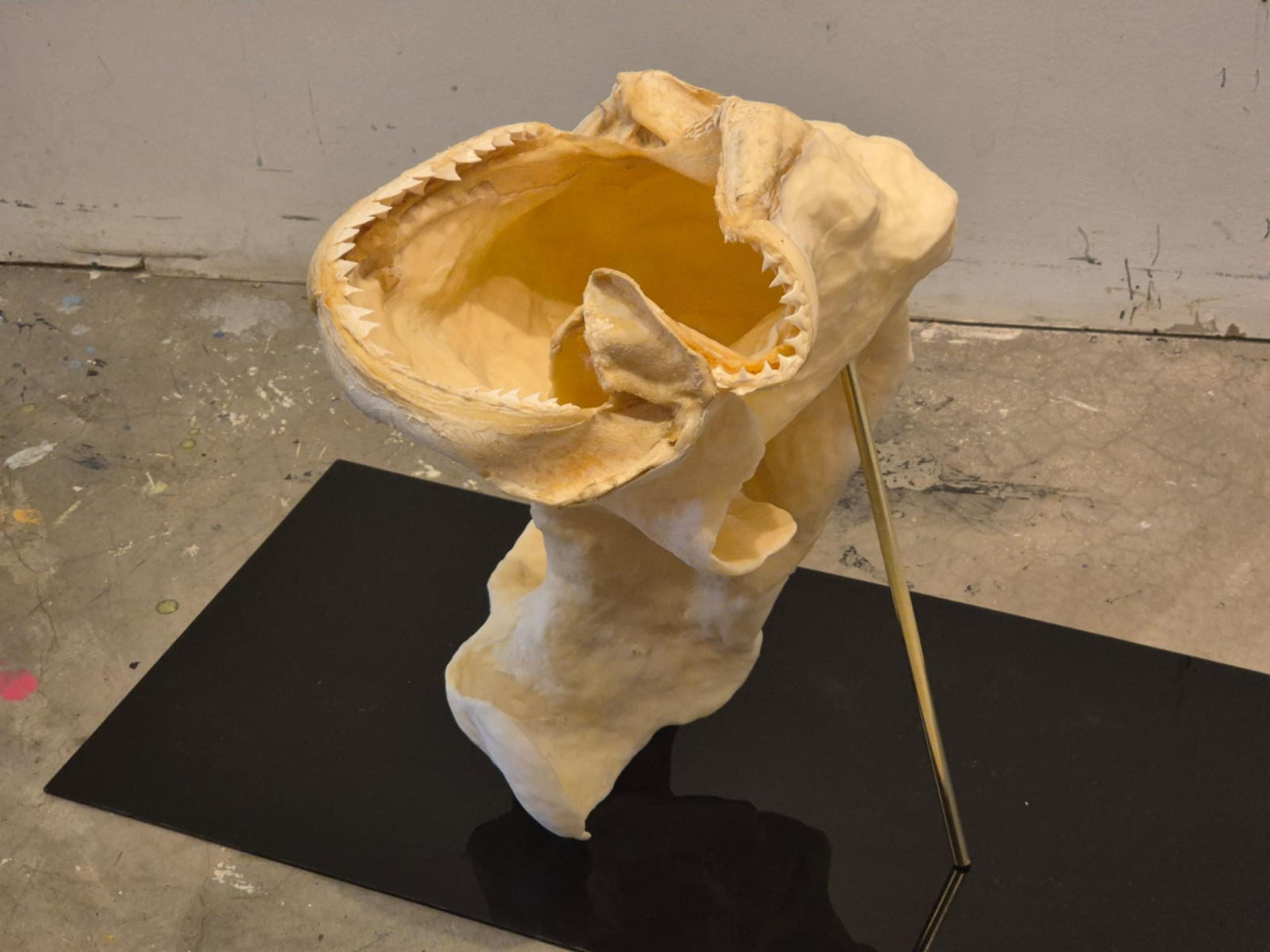 As obras da Raquel Nava,  Veridiana Leite e Clarice  Gon&ccedil;alves fazem parte  da mostra