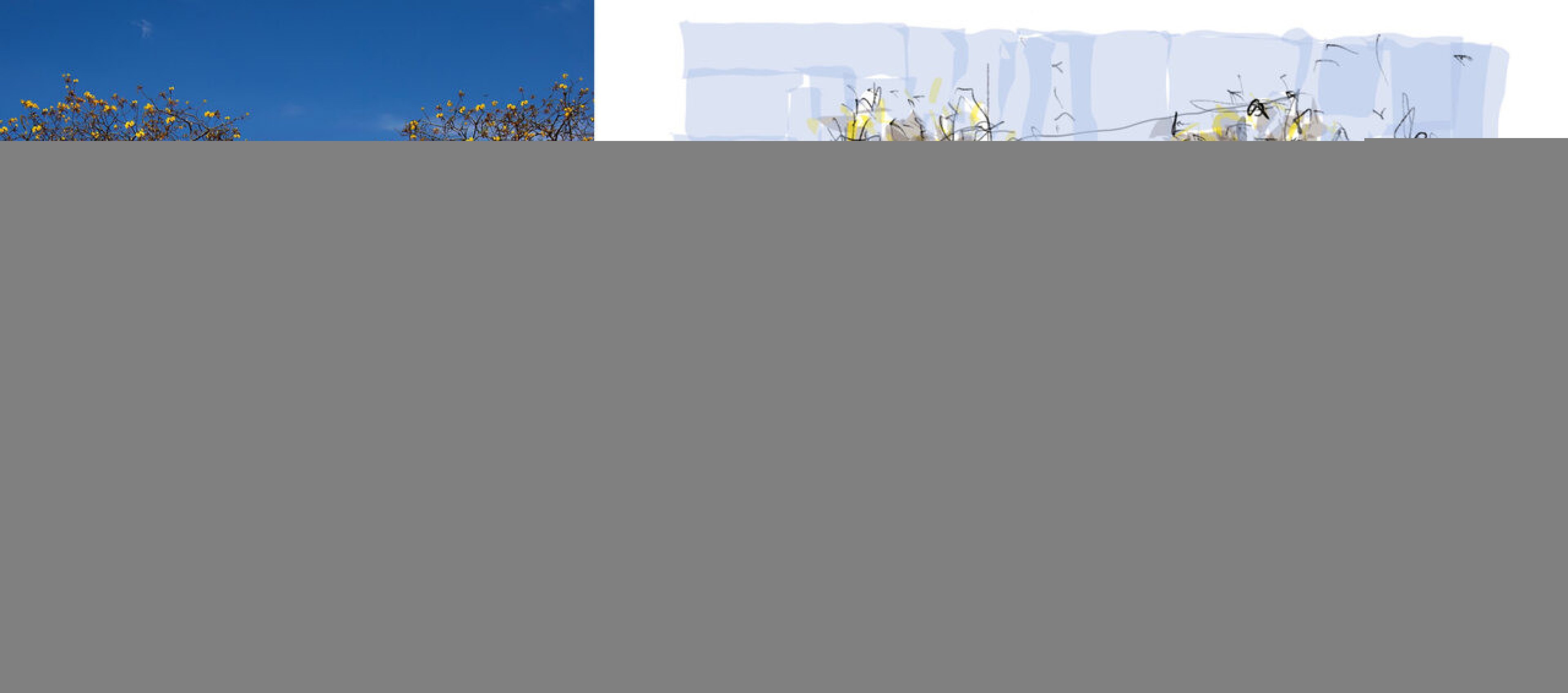 Semana Criativa de Tiradentes: exposição destaca a beleza da arquitetura colonial