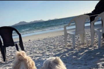 Duck e Luna enfrentaram
longas horas na estrada
com pausas para descanso
e bem-estar