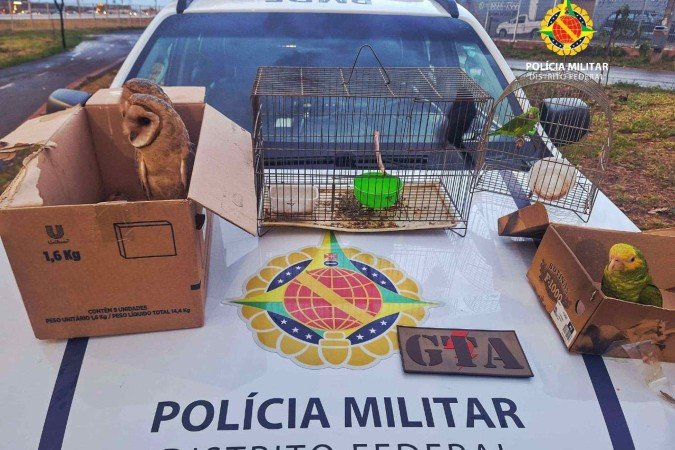 Homem é flagrado vendendo aves -  (crédito:  PMDF/Divulgação)