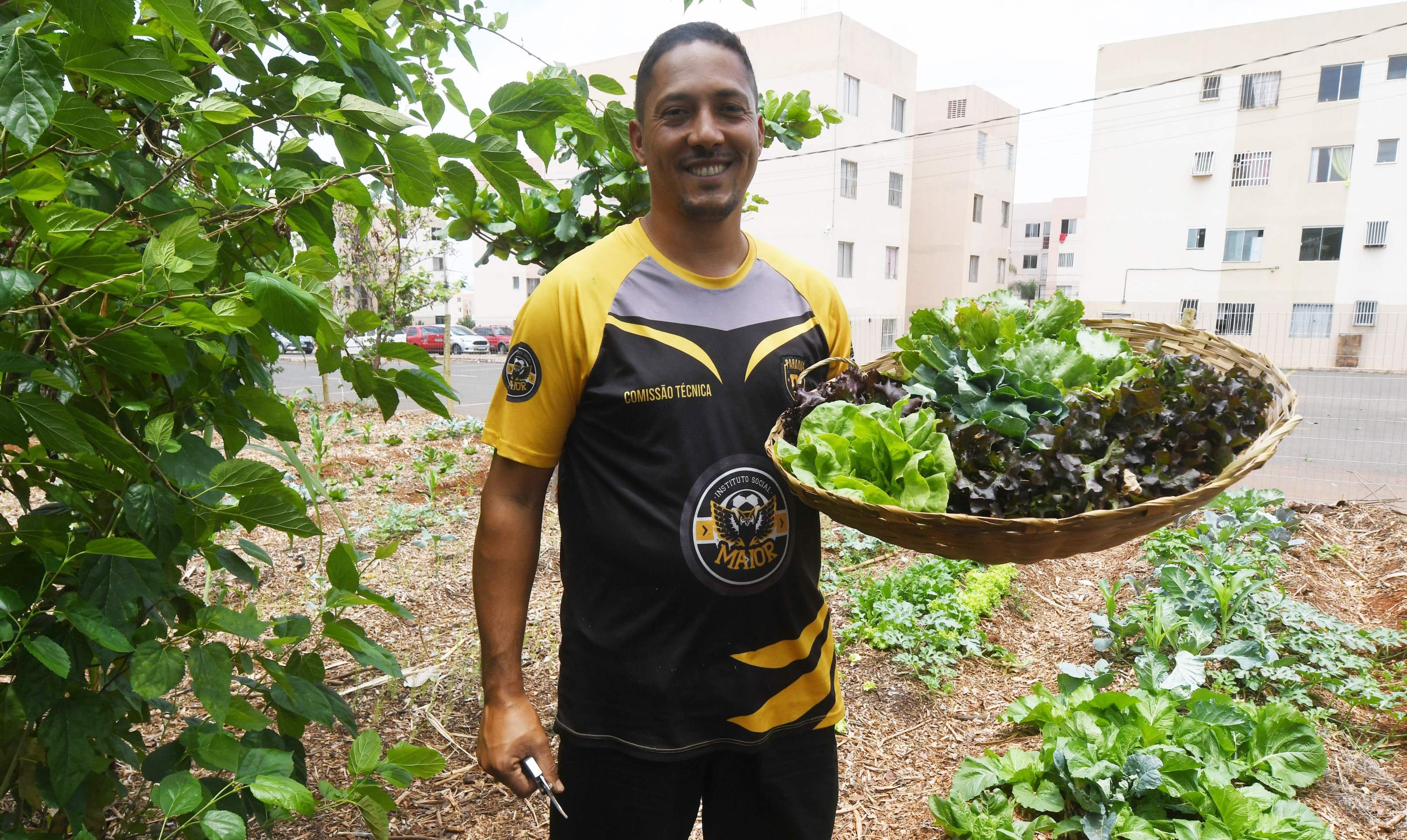 Insegurança alimentar: hortas urbanas promovem nutrição e saúde