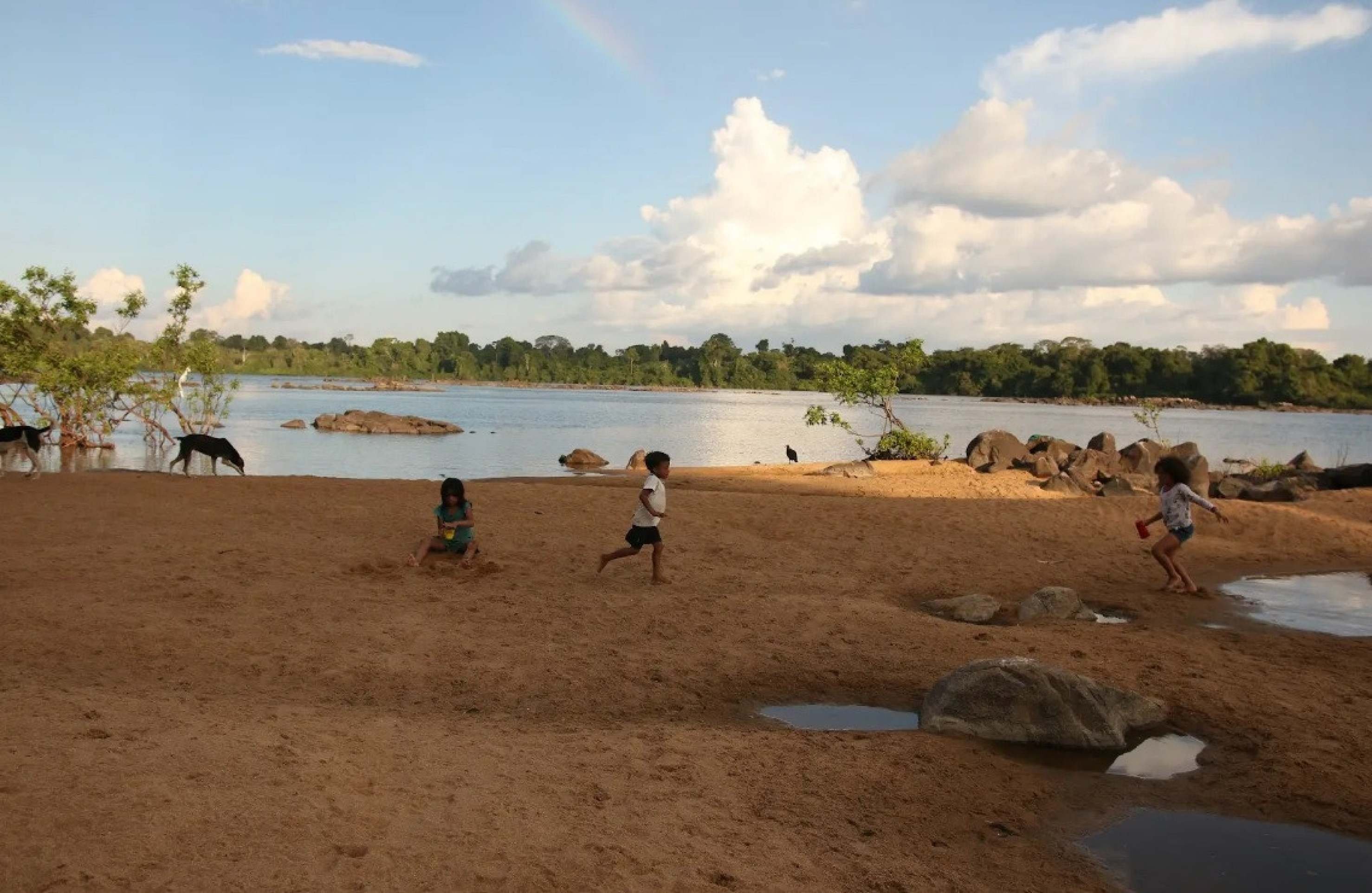 Da Rio+20 à COP30: o fracasso de um projeto ecológico