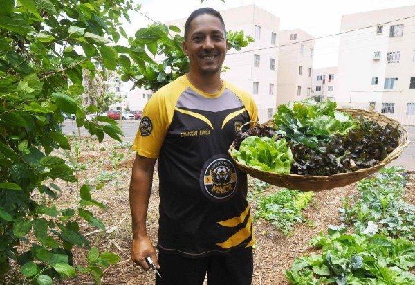  Ed Alves/CB/D.A Press