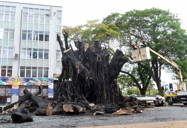  Ed Alves/CB/D.A Press