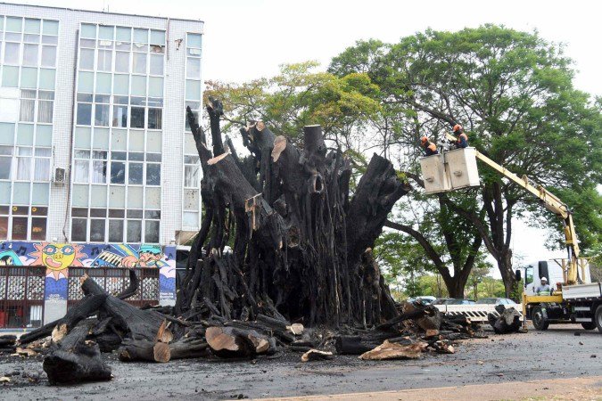 Advogado de 37 anos ateou fogo na árvore ao lado de uma criança -  (crédito:  Ed Alves/CB/D.A Press)