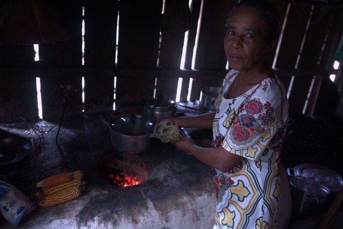  Cristina Avila Esp.CB/DA Press. TERRA DO MEIO PARA.  Dona Zefa Jeronima da Silva Estação ecologica terra do meio