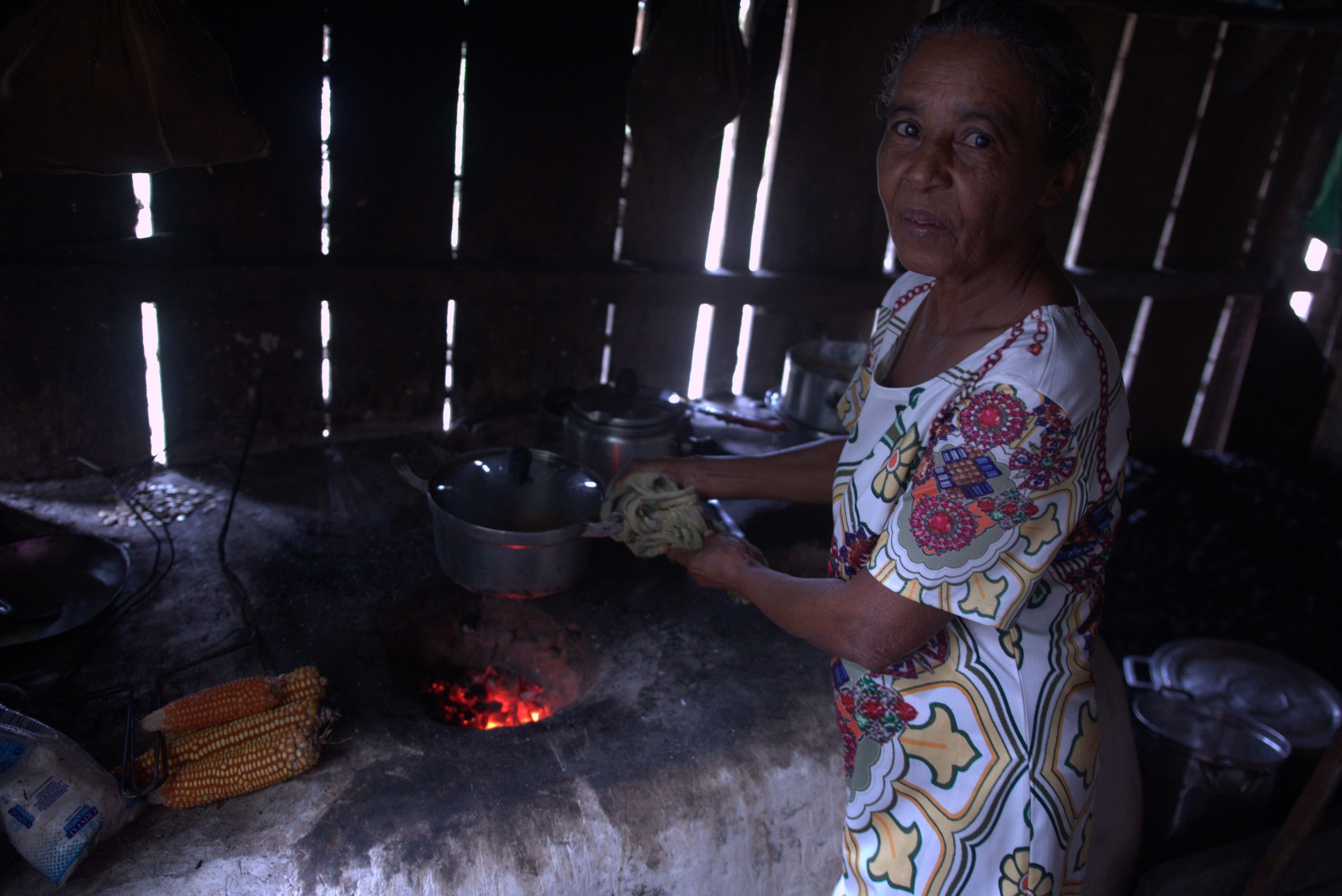  Cristina Avila Esp.CB/DA Press. TERRA DO MEIO PARA.  Dona Zefa Jeronima da Silva Esta&ccedil;&atilde;o ecologica terra do meio