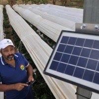 Boas práticas: o produtor rural e técnico agrícola Marcos Almeida adotou um sistema de irrigação por gotejamento -  (crédito: Fotos: Minervino Júnior/CB/D.A.Press)