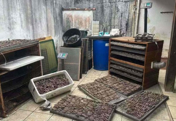 Reprodução/Polícia Ambiental