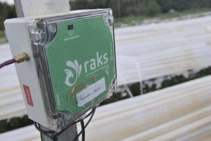 Raks é um sistema que sinaliza quando e quanto irrigar a lavoura