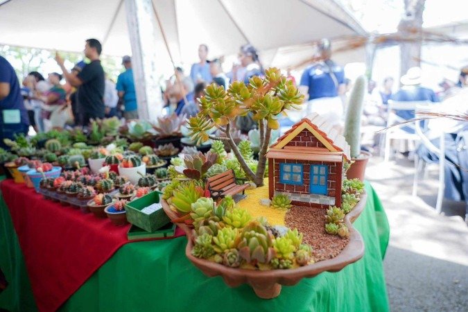 Terceira edição da feira #NoEntornoTem movimenta Brasília neste fim de semana -  (crédito: Divulgação)