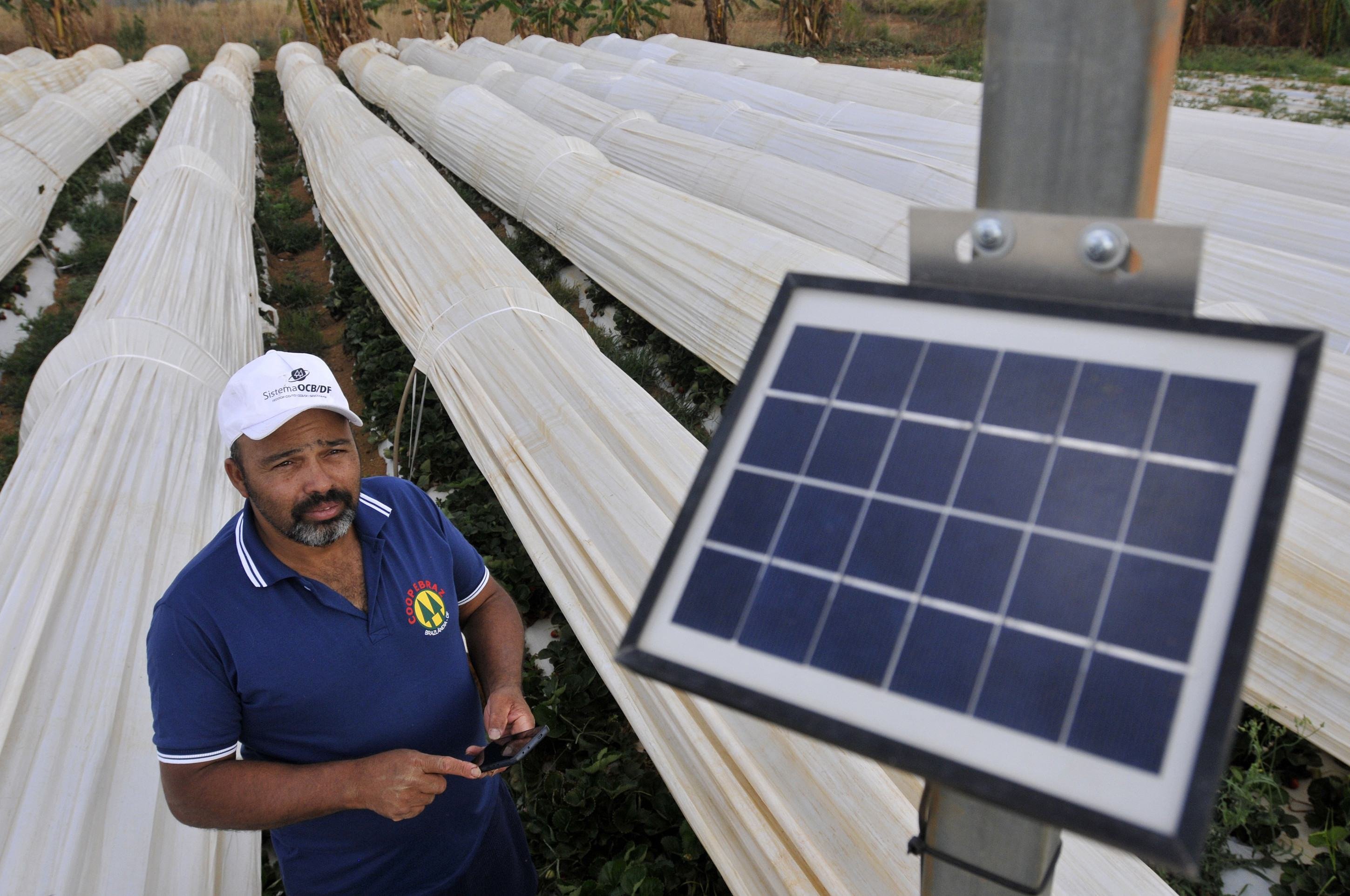 Cerrado perde o equivalente a 30 piscinas olímpicas por minuto