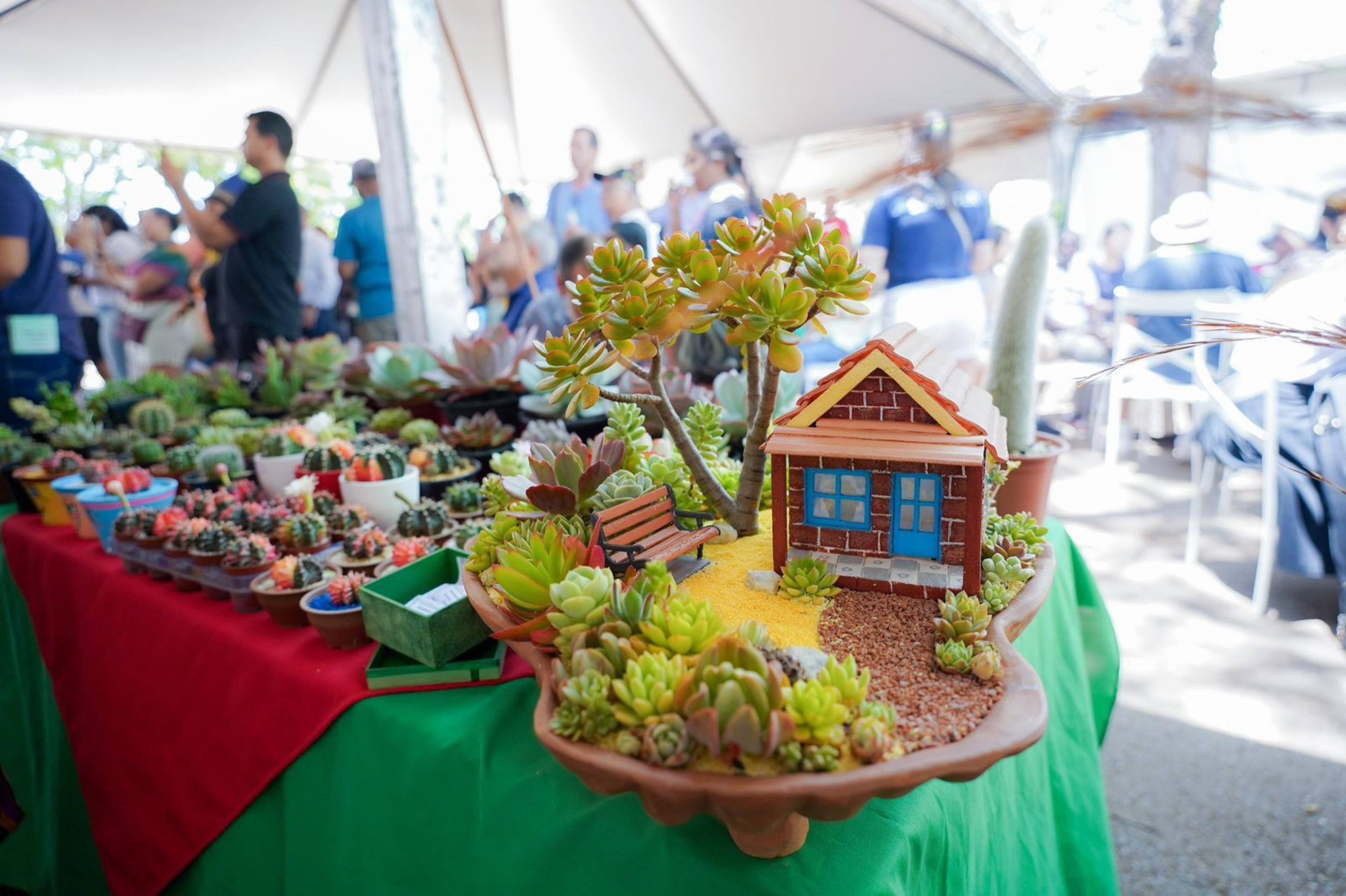 Evento gratuito traz cultura, turismo e gastronomia do Entorno para Brasília