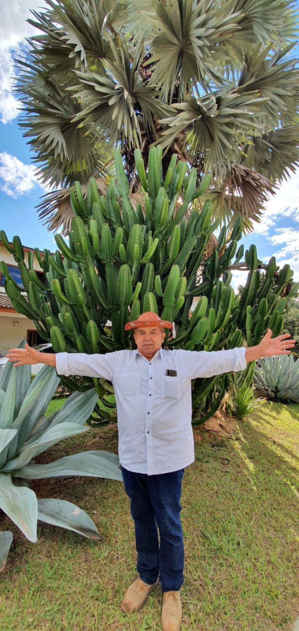 O professor Francisco Feitoza: amor pelo Nordeste