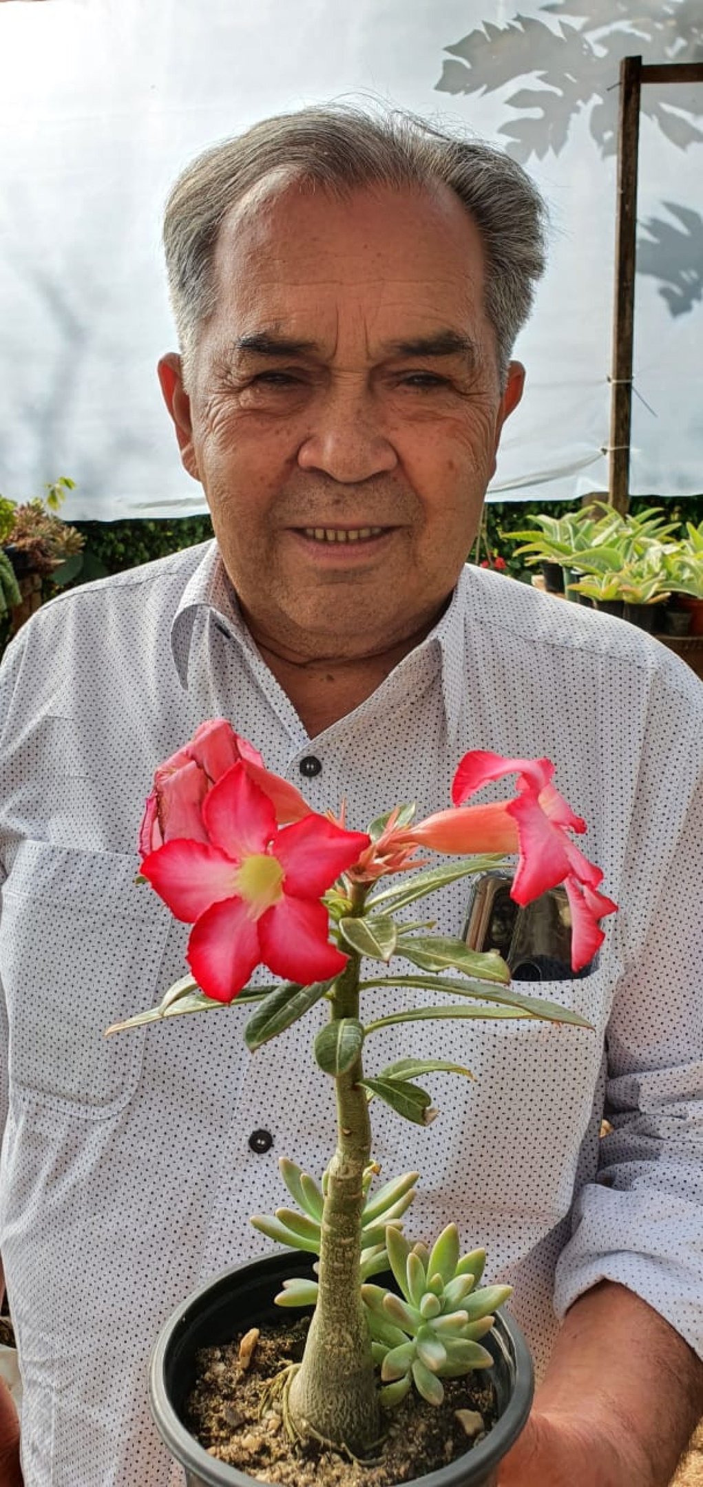 O professor Francisco Feitoza: cuidado com as plantas