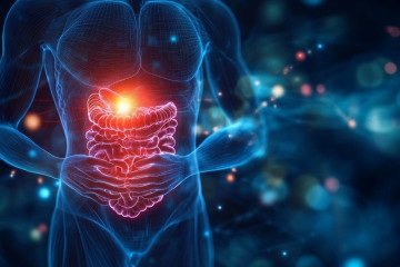 Doenças inflamatórias intestinais podem se tornar problemas de saúde pública comparável ao diabetes e à hipertensão - (crédito: StockCake/Divulgação ) Doenças inflamatórias intestinais podem se tornar problemas de saúde pública comparável ao diabetes e à hipertensão - (crédito: StockCake/Divulgação )