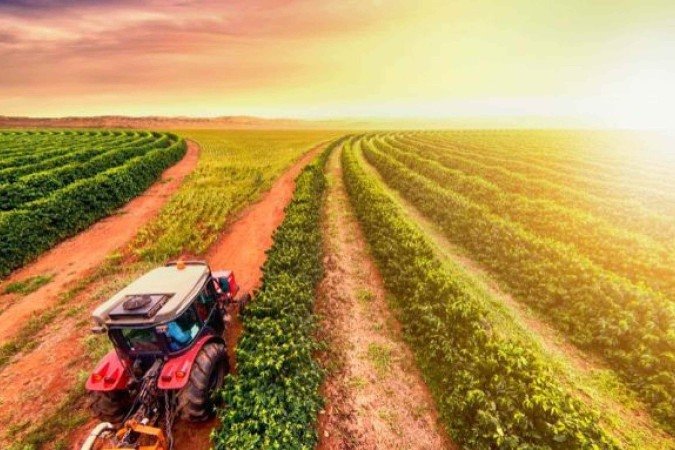 Devemos melhorar a produção e a eficiência, conservar e proteger nossos solos, controlar pragas e doenças de animais e plantas, e apoiar a pesquisa e a extensão científica e técnica para melhorar a vida rural - (crédito: Arquivo) Devemos melhorar a produção e a eficiência, conservar e proteger nossos solos, controlar pragas e doenças de animais e plantas, e apoiar a pesquisa e a extensão científica e técnica para melhorar a vida rural - (crédito: Arquivo)