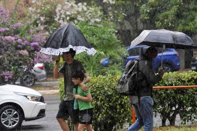 Primeira semana de novembro pode ter mais chuvas - (crédito: Minervino Júnior/CB/D.A.Press) Primeira semana de novembro pode ter mais chuvas - (crédito: Minervino Júnior/CB/D.A.Press)