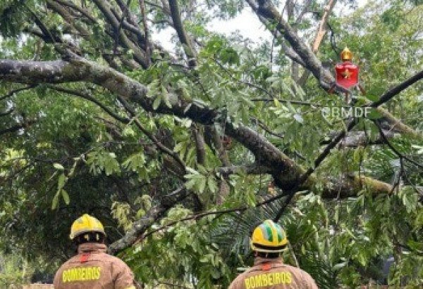 Divulgação/Corpo de Bombeiros/DF
