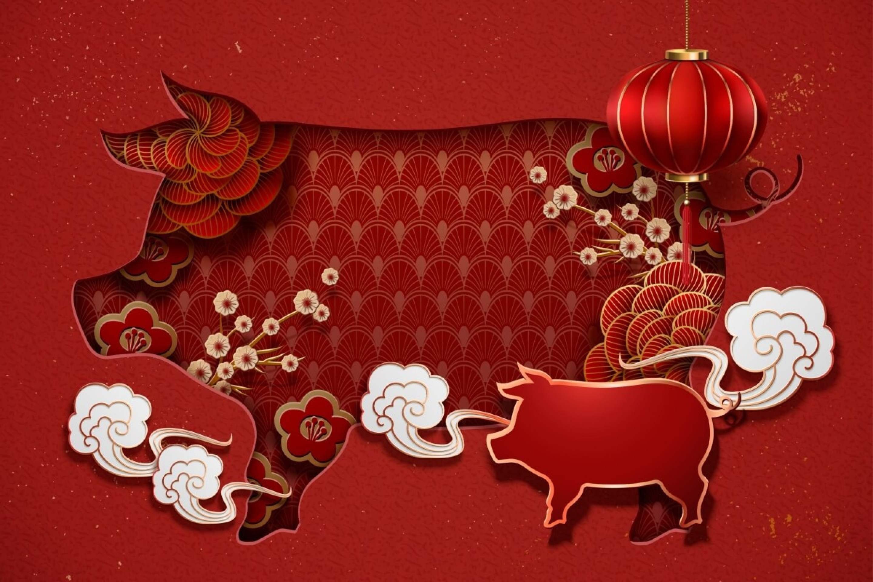 Veja as características do signo do Javali no Horóscopo Chinês