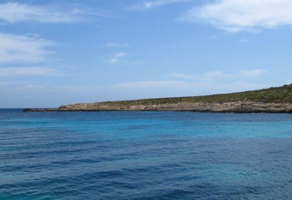 Reprodução/Freepik