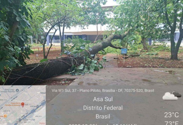 Divulgação/Novacap