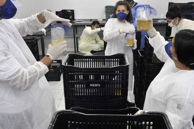 O Núcleo de Controle Químico e Biológico funciona como uma espécie de O Núcleo de Controle Químico e Biológico funciona como uma espécie de