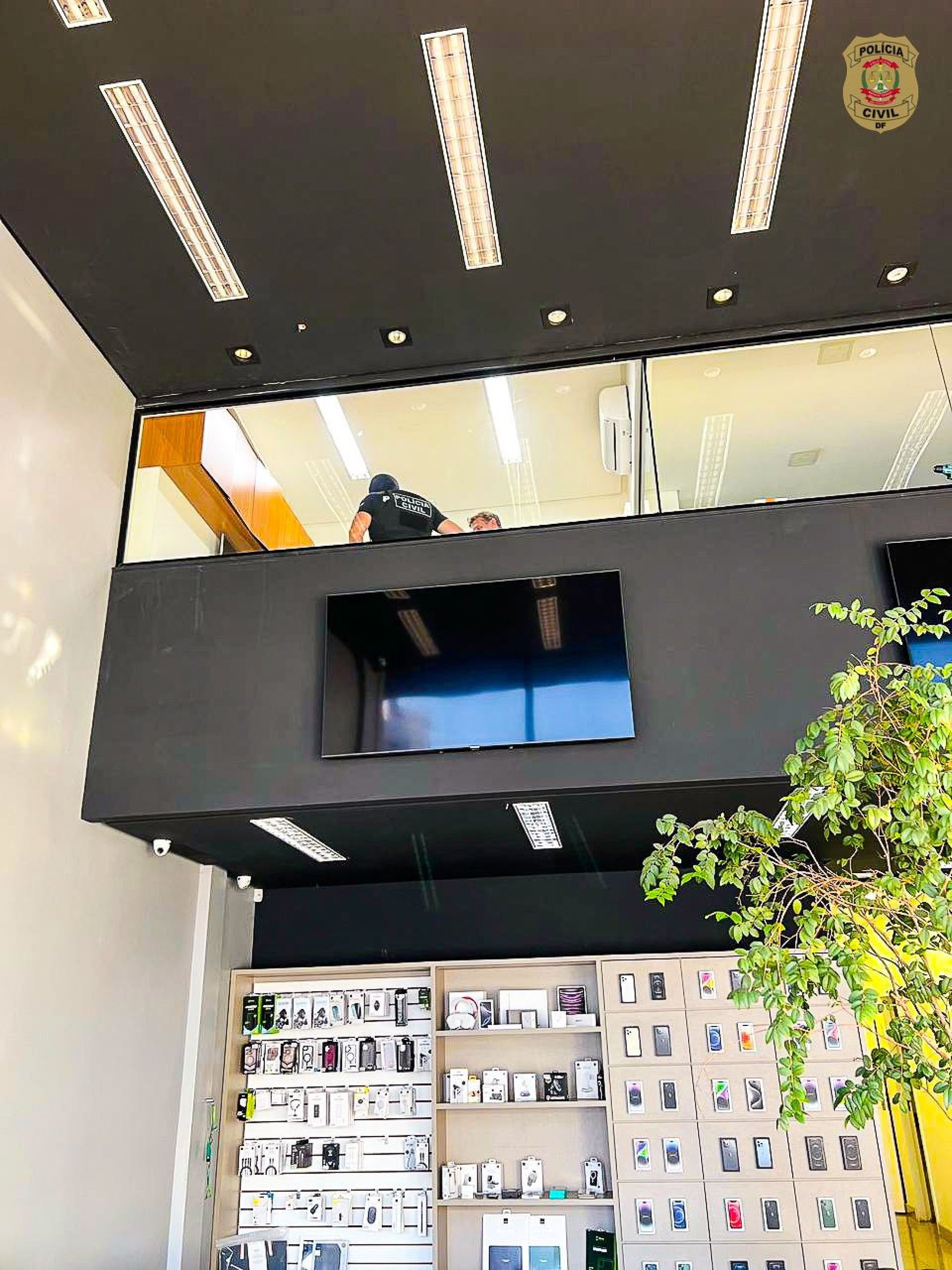 A operação foi realizada nesta quarta-feira (22)