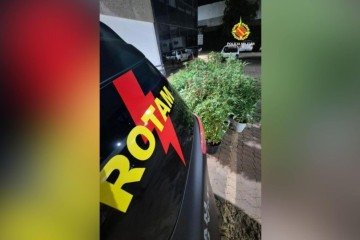 A operação foi conduzida pelo Batalhão de Rondas Ostensivas Táticas Metropolitanas (Rotam) - (crédito: Divulgação/PMDF) A operação foi conduzida pelo Batalhão de Rondas Ostensivas Táticas Metropolitanas (Rotam) - (crédito: Divulgação/PMDF)