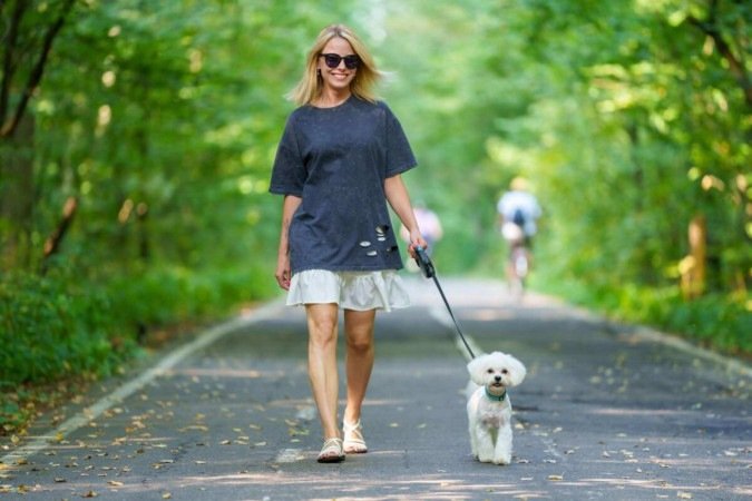 Plantas tóxicas para pets exigem atenção dos tutores durante os passeios (Imagem: Paparacy | Shutterstock) -  (crédito: EdiCase)