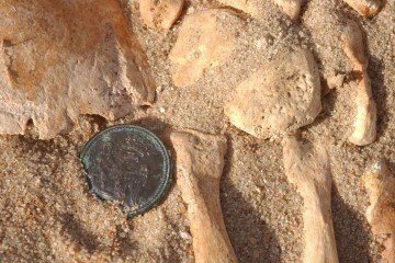 Botão da Guarda Imperial da França descoberto durante a exumação: soldados debilitados por frio, fome e doenças - (crédito: © UMR 6578 Universidade de Aix-Marselha, CNRS, EFS) Botão da Guarda Imperial da França descoberto durante a exumação: soldados debilitados por frio, fome e doenças - (crédito: © UMR 6578 Universidade de Aix-Marselha, CNRS, EFS)