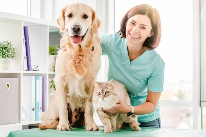 A medicina veterinária avançou muito nas últimas décadas, permitindo que doenças antes consideradas graves ou fatais sejam hoje controladas (Imagem: In Green | Shutterstock) -  (crédito: EdiCase)