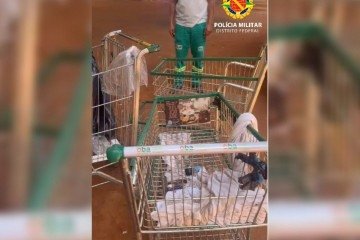 Cerca de 30 carrinhos foram apreendidos pela Pol&iacute;cia Militar