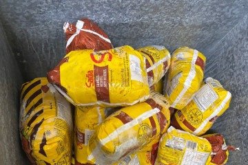 Apreensão ocorreu na última quinta (23), no Riacho Fundo II