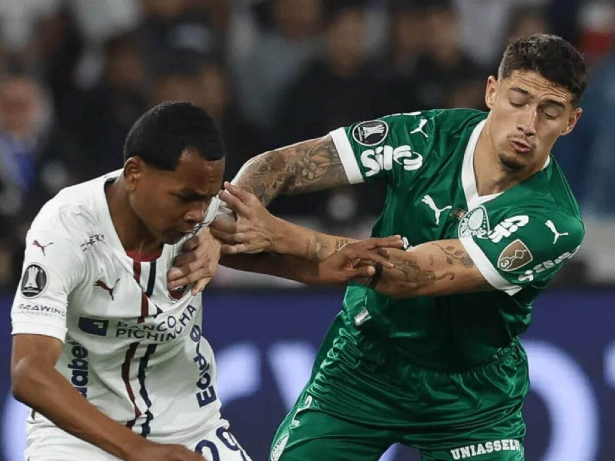 Climão? Veja os bastidores da volta do Palmeiras ao Brasil após derrota para LDU -  (crédito: Feed Gávea News)