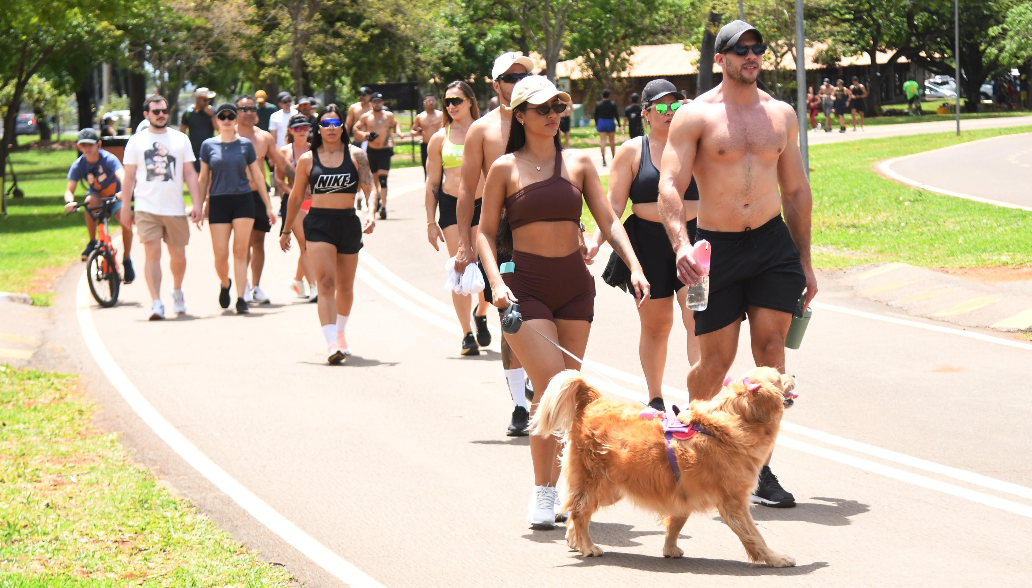 Previsão do tempo: Brasília enfrenta calor de 32 °C nesta terça (28/10)