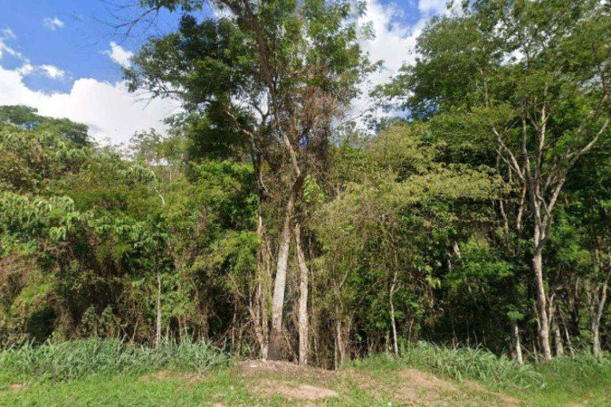 Homem foi encontrado em uma trilha entre a mata onde escondia e o distrito de Realeza, da cidade de Manhuaçu -  (crédito: Reprodução/Google Street View)