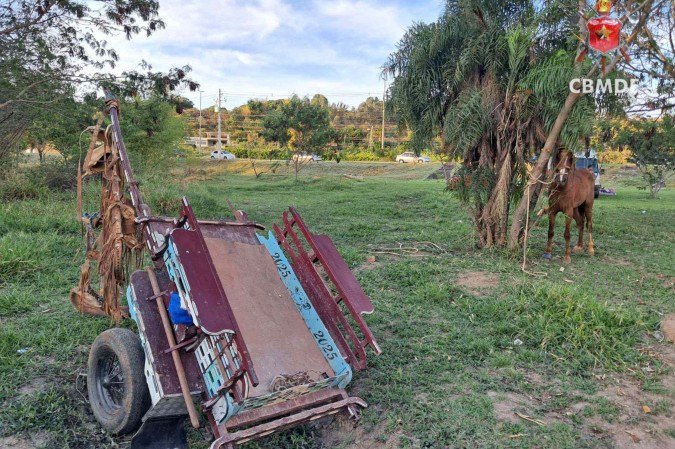 Carroça atropela três pessoas no Lago Norte - (crédito: CBMDF) Carroça atropela três pessoas no Lago Norte - (crédito: CBMDF)