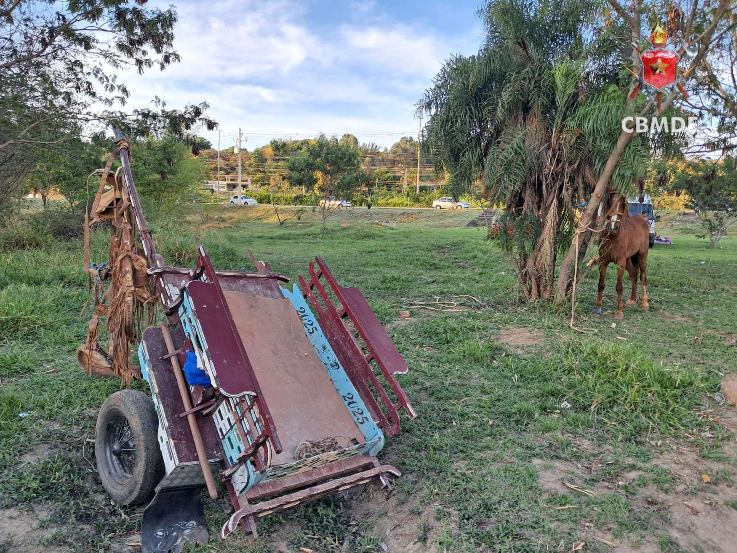 Três pessoas são atropeladas por uma carroça no Lago Norte