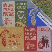  28/10/2025. Ed Alves CB/DA Press. Cidades. Cartazes referente ao Cerrado - Cop 30. 113/114 Norte - 213/214 Norte. -  (crédito:               Ed Alves/CB                              )