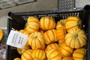 As miniabóboras fazem sucesso no Mercado Municipal