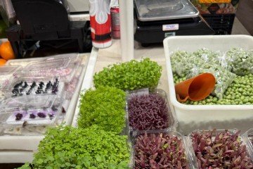 As iguarias e os produtos frescos 
vendidos no mercado atraem os chefs