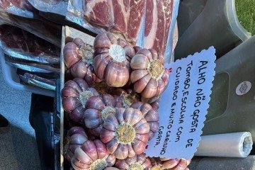 Os frescor do Mercado Municipal