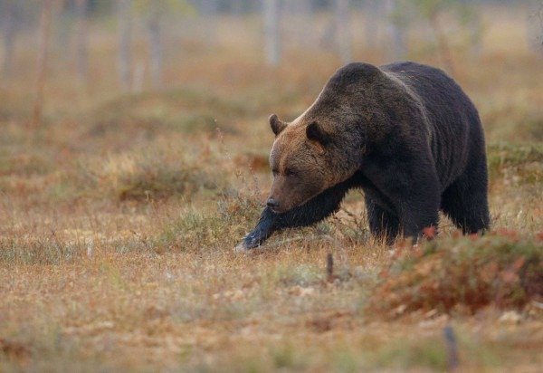 Reprodução/Freepik