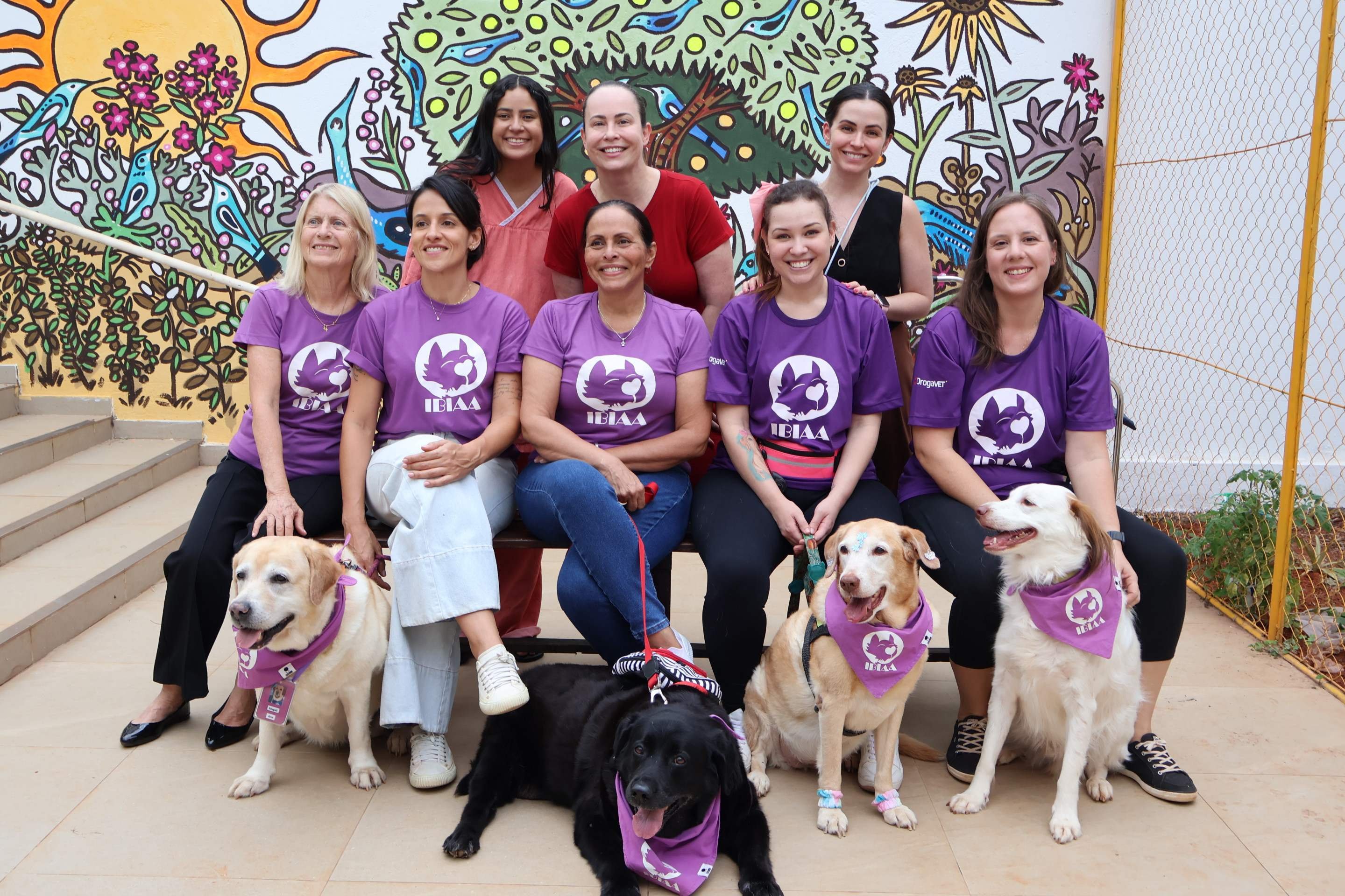 Conexão que alivia a dor: projeto promove interação entre cães e pacientes 