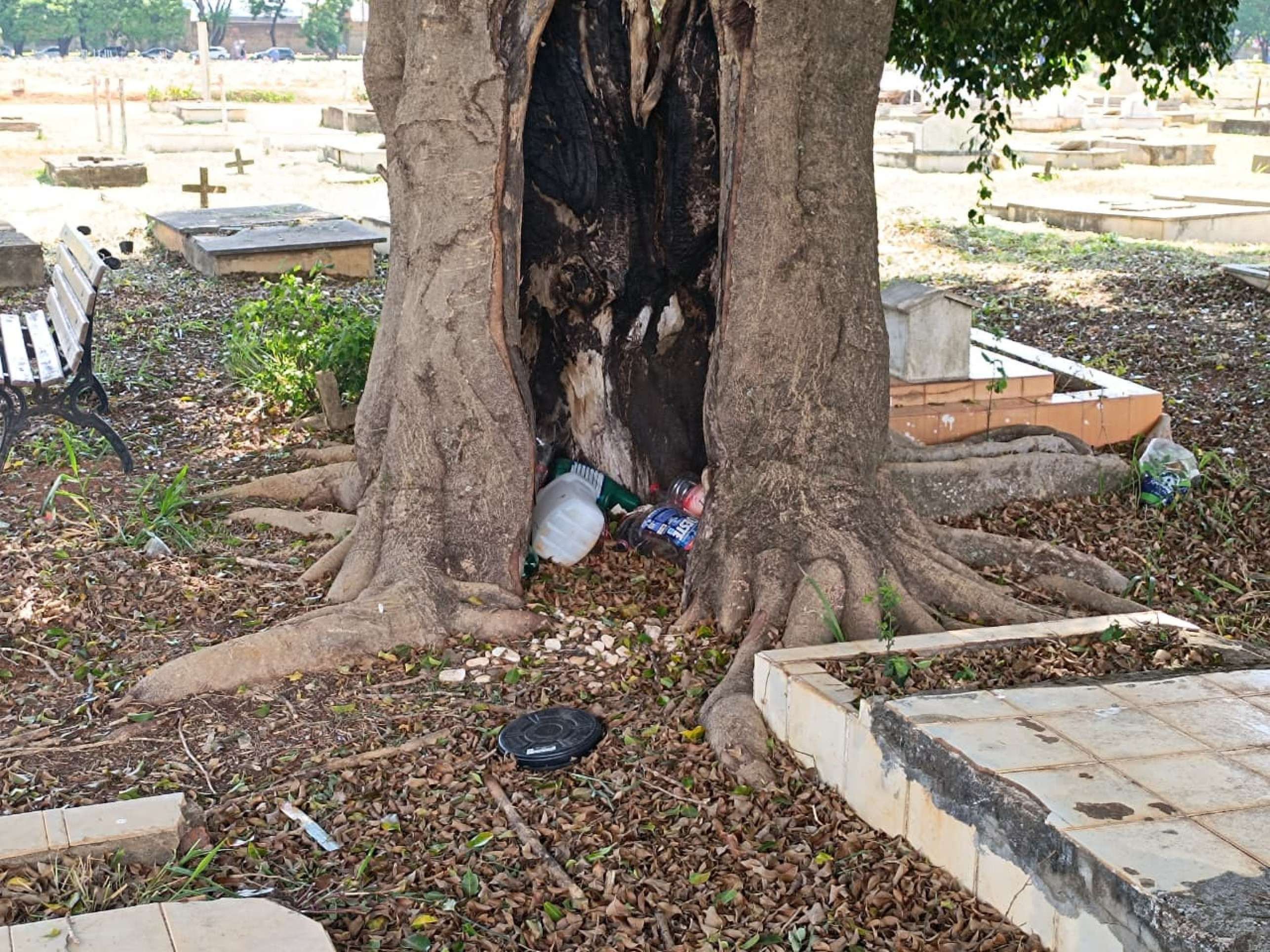 Em Taguatinga, o cen&aacute;rio &eacute; de lixo espalhado entre os t&uacute;mulos
