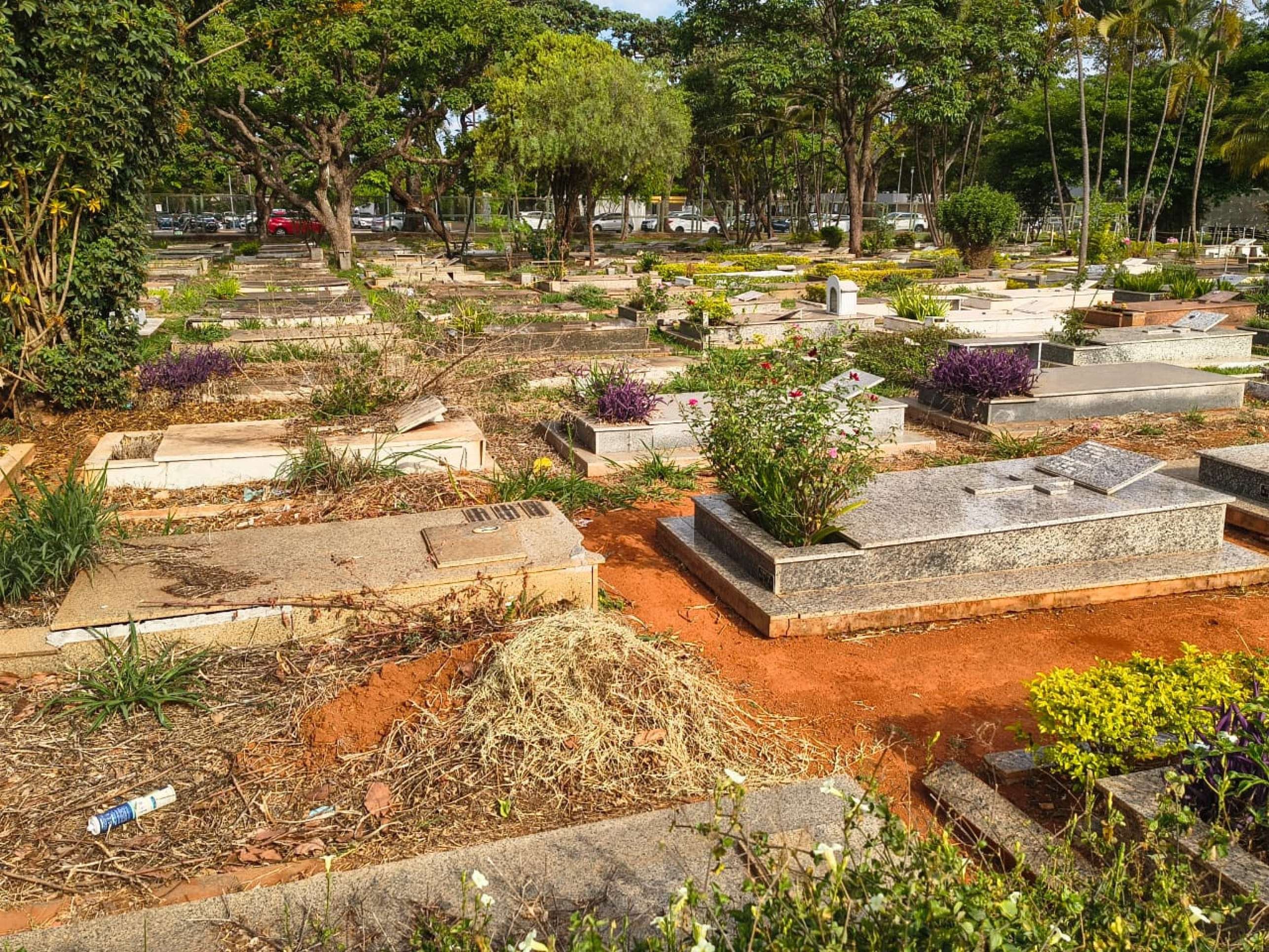 Na Asa Sul, l&aacute;pides novas e jardinadas convivem com t&uacute;mulos antigos